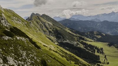 Camera - professional stock photography