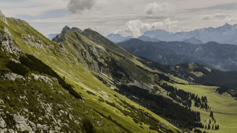 Camera - professional stock photography