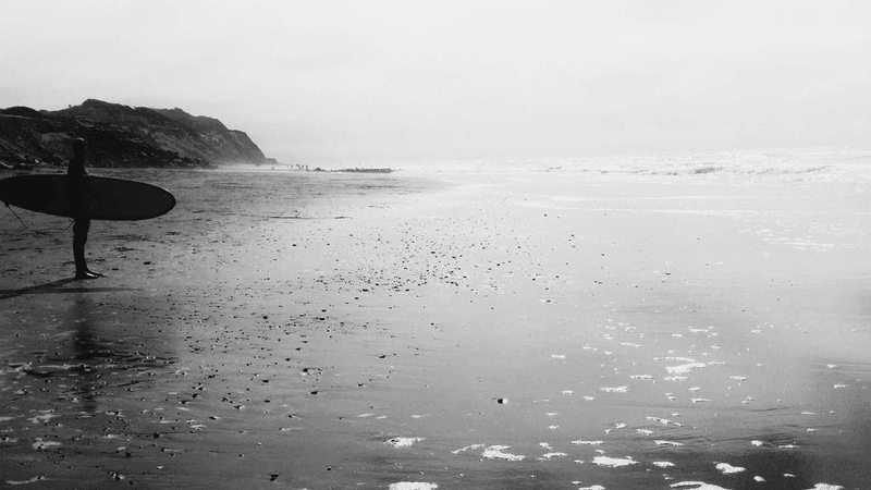 Camera - professional stock photography