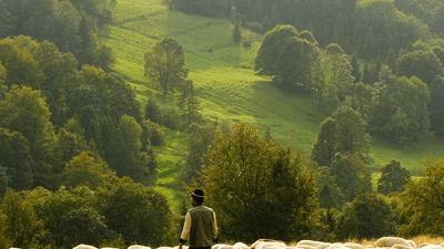 Charger - professional stock photography