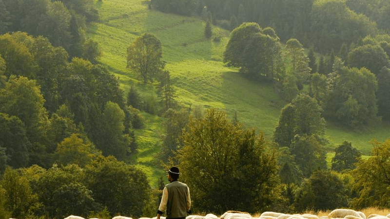 Charger - professional stock photography