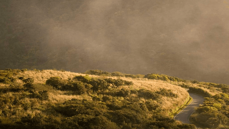 Charger - professional stock photography