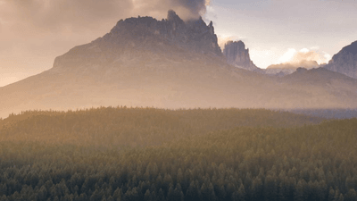 Gamepad - professional stock photography