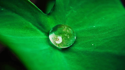 Gamepad - professional stock photography