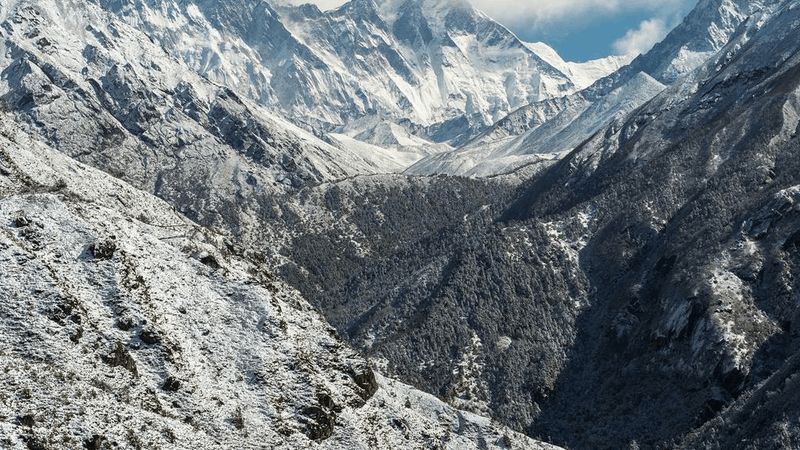 Gamepad - professional stock photography