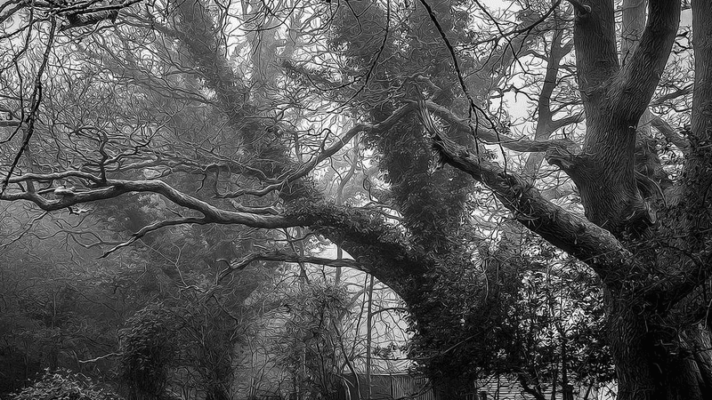 Keyboard - professional stock photography