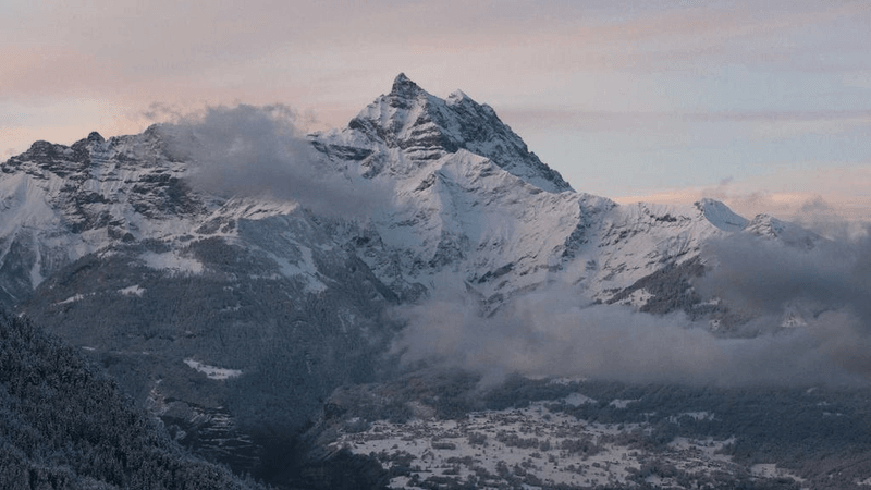 Laptop - professional stock photography