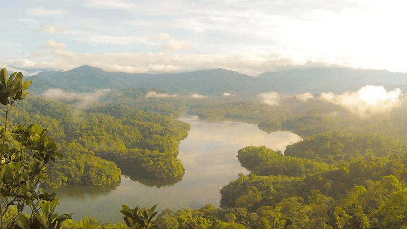 Laptop - professional stock photography