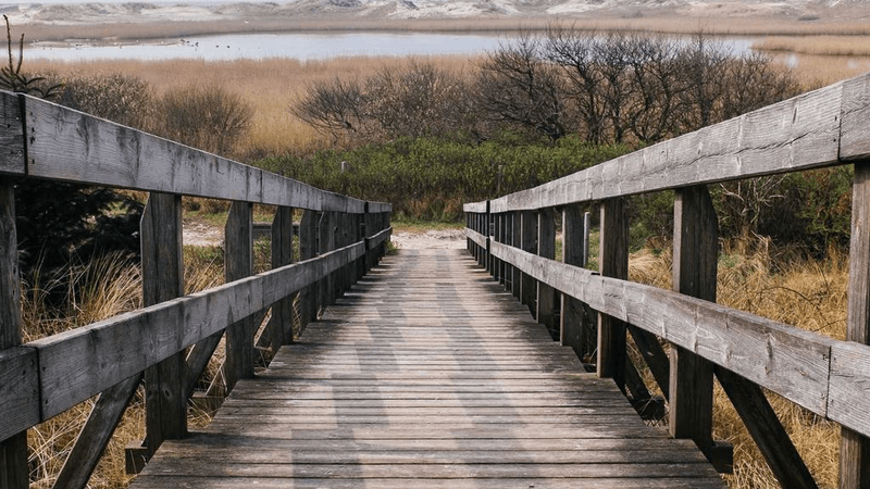 Laptop - professional stock photography