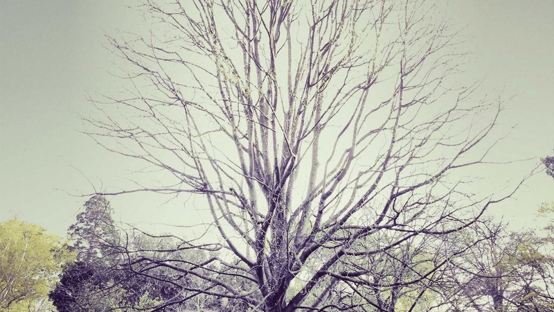 Monitor - professional stock photography