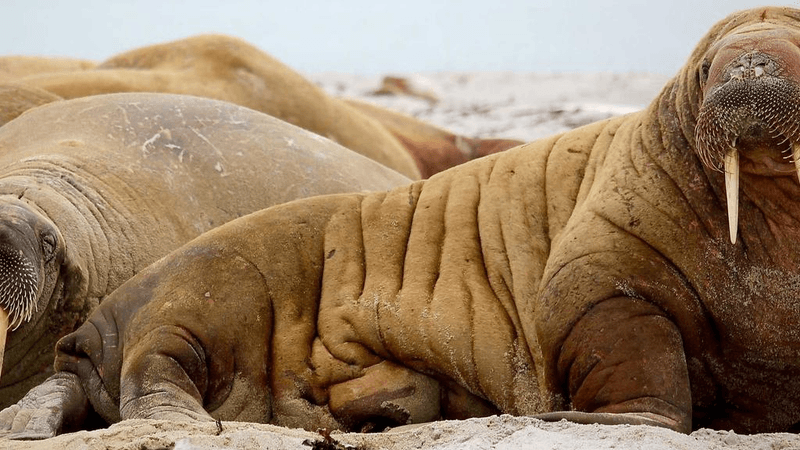 Monitor - professional stock photography