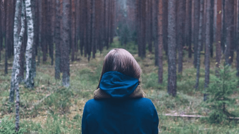 Mouse - professional stock photography