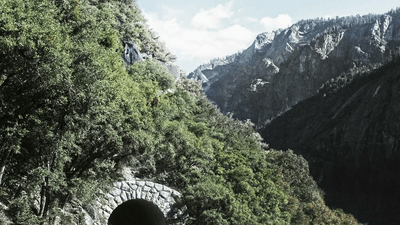 Mouse - professional stock photography