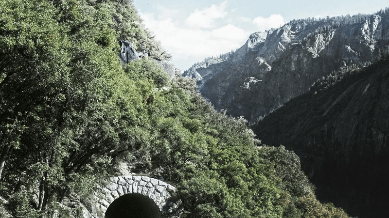 Mouse - professional stock photography