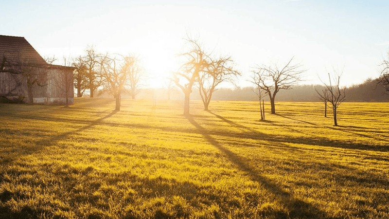 Power Bank - professional stock photography
