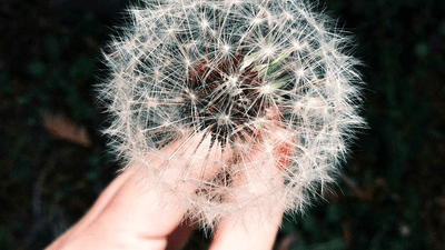 Printer - professional stock photography