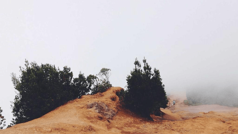 Printer - professional stock photography