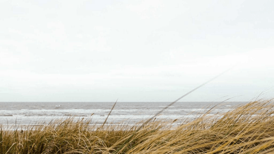 Projector - professional stock photography