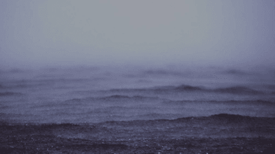 Router - professional stock photography