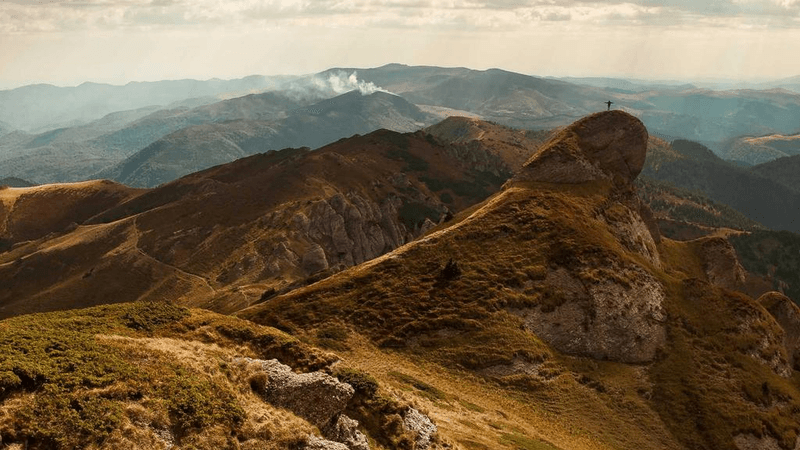 Router - professional stock photography