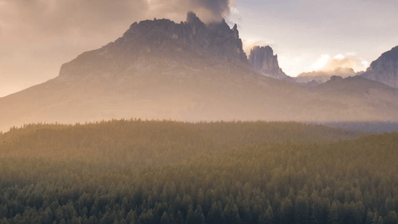 Router - professional stock photography