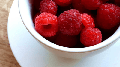 Smartphone - professional stock photography