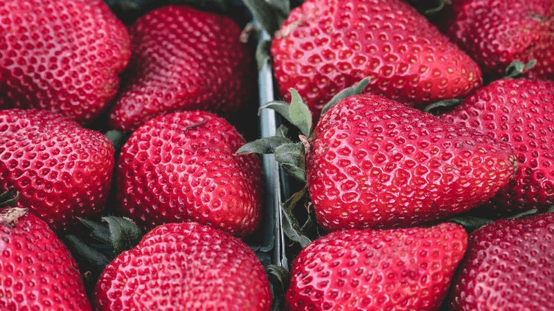 Tablet - professional stock photography