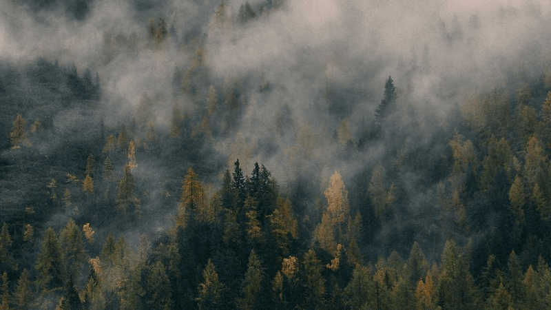 Usb Hub - professional stock photography