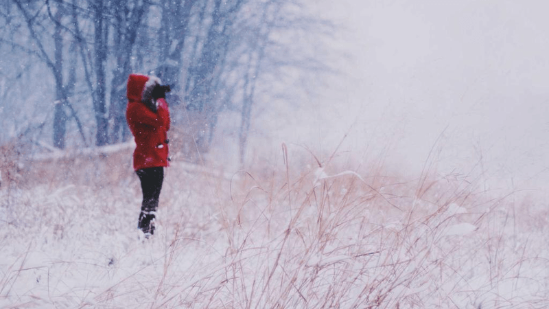 Webcam - professional stock photography